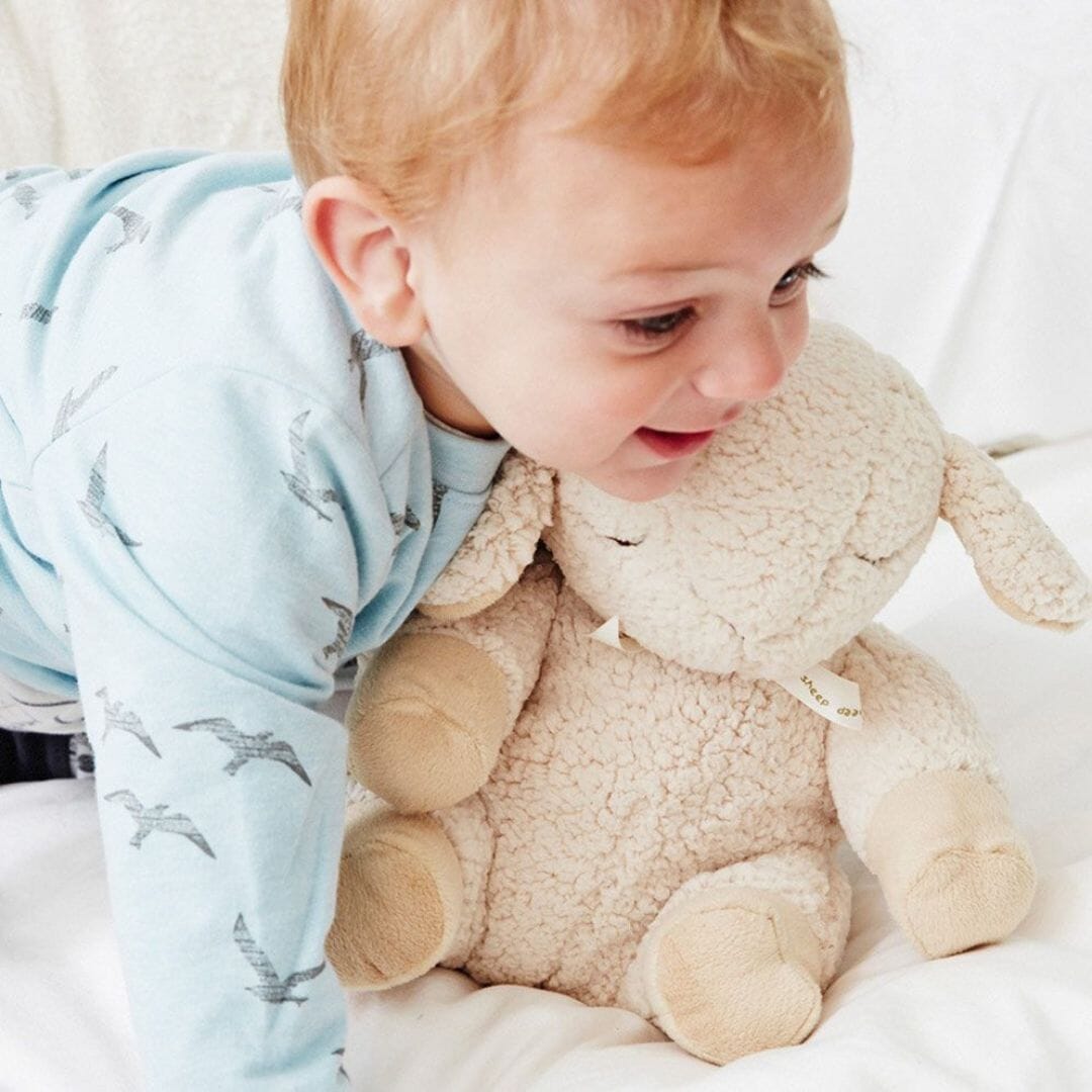 Cloud B Sleep Sheep with 8 soothing sounds Sensory Toys JETTPROOF Calming Sensory Clothing Inspired by Jett 