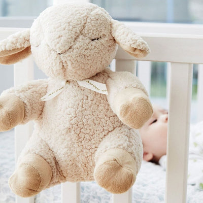 Cloud B Sleep Sheep with 8 soothing sounds Sensory Toys JETTPROOF Calming Sensory Clothing Inspired by Jett 