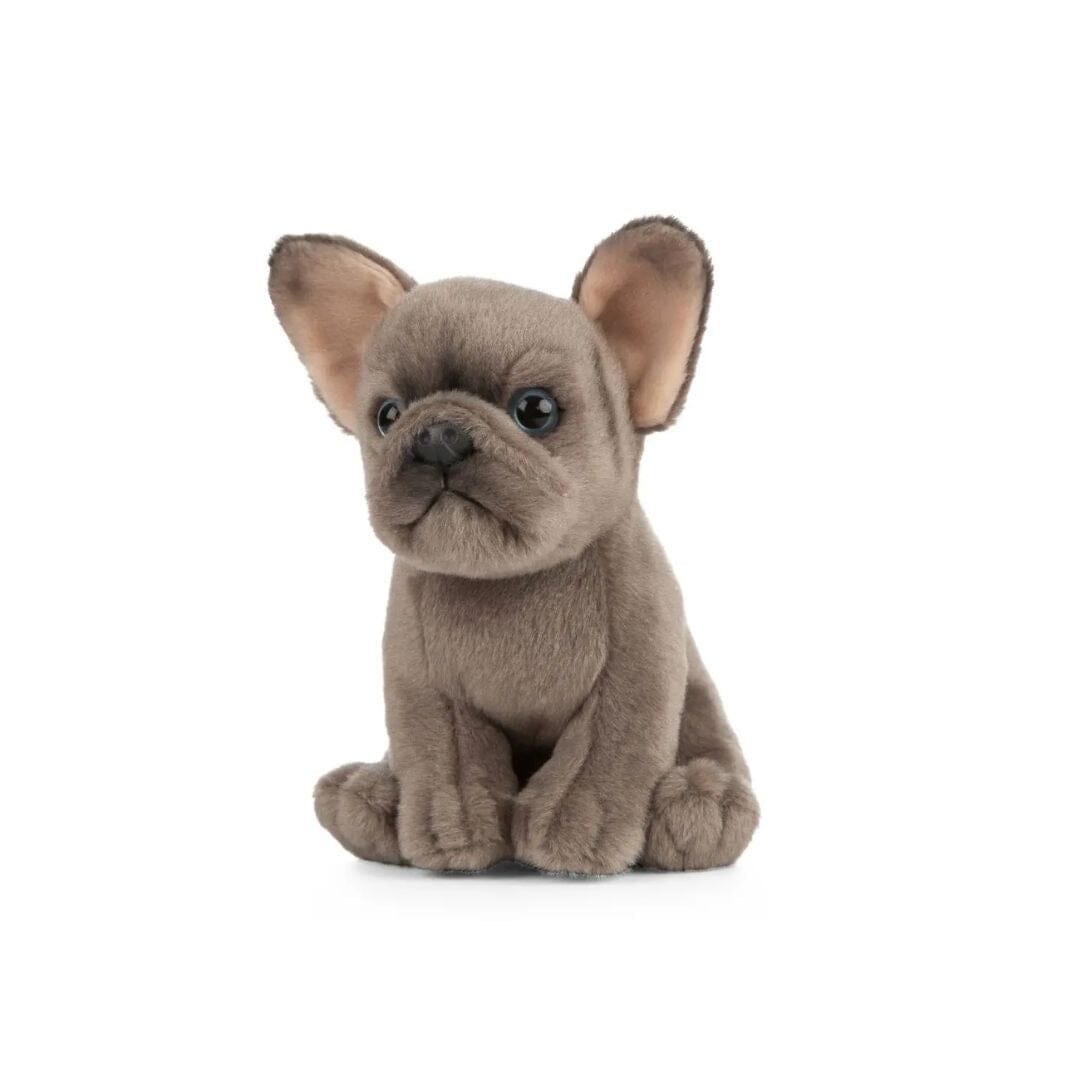 Living Nature - French Bulldog Puppy Sensory Toys JETTPROOF Calming Sensory Clothing Inspired by Jett 