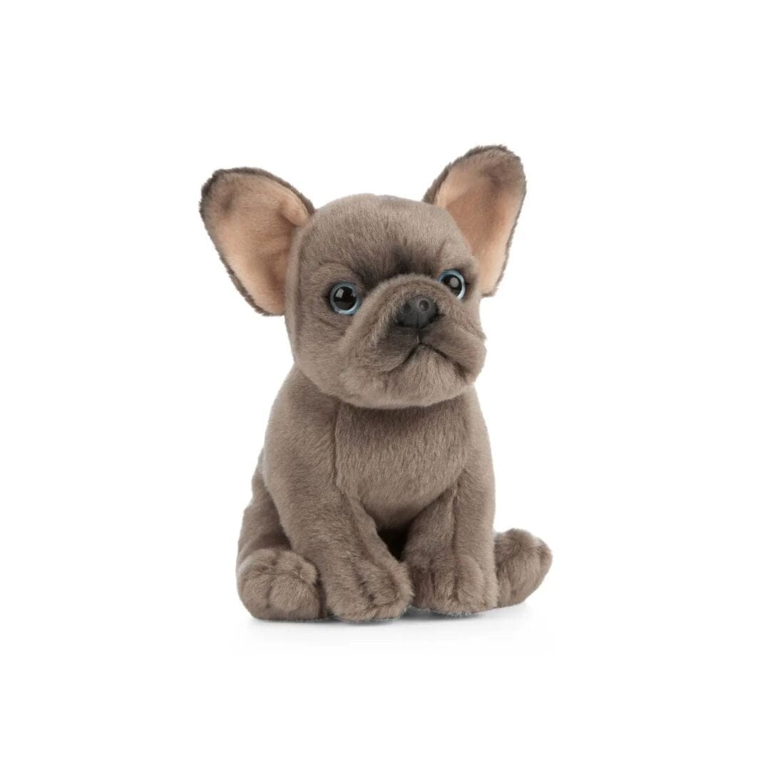 Living Nature - French Bulldog Puppy Sensory Toys JETTPROOF Calming Sensory Clothing Inspired by Jett 