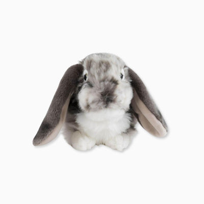 Living Nature - Dutch Lop Eared Rabbit Grey Sensory Toys JETTPROOF Calming Sensory Clothing Inspired by Jett 